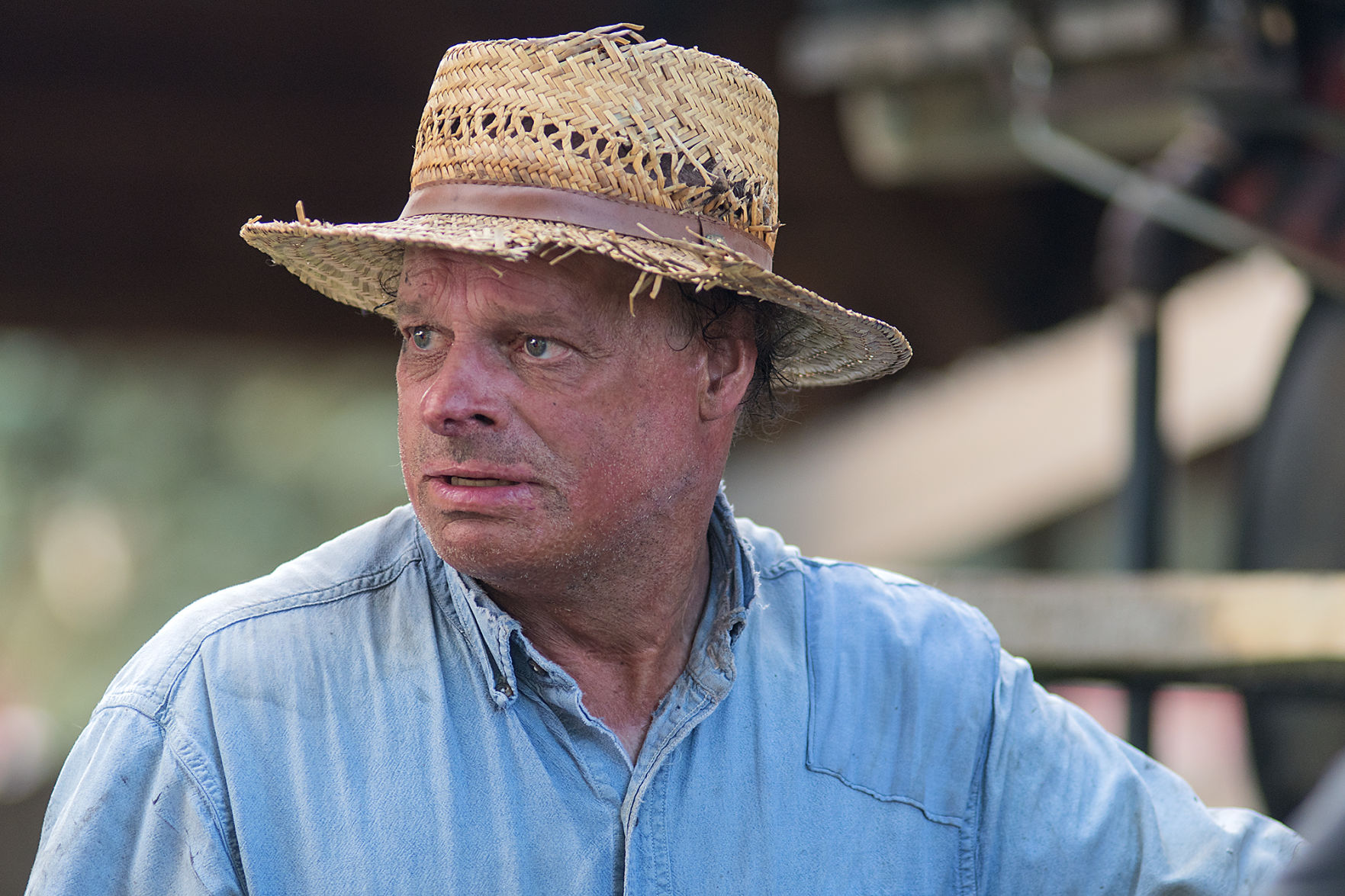 Threshing Bee 11
